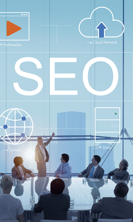 fig-bin-seo