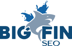 Big Fin SEO logo digital marketing