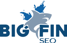 Big Fin SEO Primary Logo