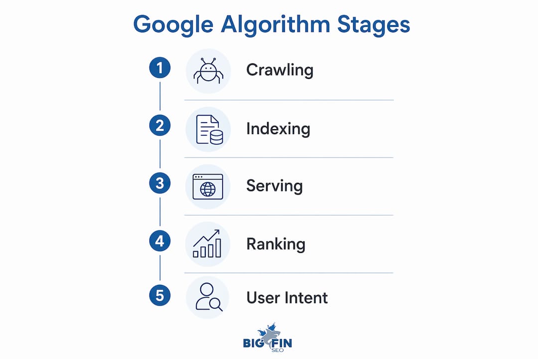 Infographic showing Google algorithm stages